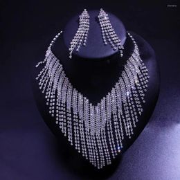 Pendientes de collar Juego de lujo Long Tassel Rhinestone Choker para mujeres Declaración de agua de cristal Drop colgante de colgantes Regalos de joyería