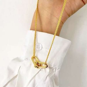 Ketting Tiffanyny dubbele ring ketting 925 puur verzilverd 18K goud bloedlijn titanium stalen dubbele ring hanger ketting