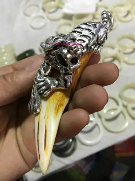 Collares Venta caliente Jubos antiguos chinos Dientes Hog Wild Silver Dragon Protective Collar Colgante Talismán