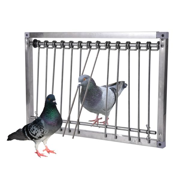 Nids 1 Pc en acier inoxydable pigeonnier piège porte Pigeon porte fil cadre entrée Loft fournitures course oiseau attraper Cage nid porte rideau