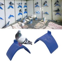 Nids 10 pièces Pigeon colombe oiseau maison perroquets support de repos en plastique cadre logement perche gomme-laque fournitures pour oiseaux