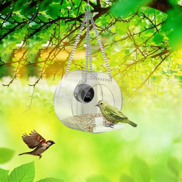 Nids panier oiseau Cage mangeoire jardin suspendu maison multifonction extérieur perroquet animal de compagnie avec caméra nouveauté