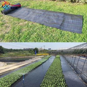 Tewango – filets de couverture de tissu de sol pour jardin et cour, bloc de barrière contre les mauvaises herbes robuste, paillis en plastique pour serre, taille personnalisée