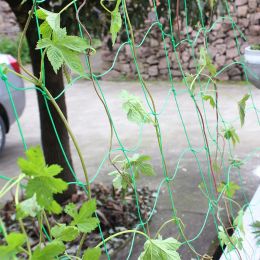 Netting 1.8/2.7/3/3.6m Pertool Plantennet Huishoudelijke Binnenplaats Luffa Passiefruit Plant klimrek Tuinieren Netto