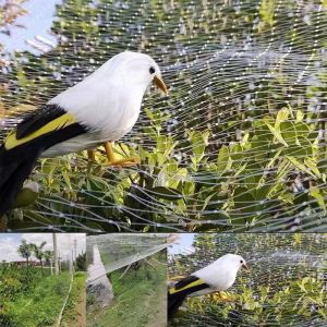 Filet anti-oiseaux, filet de jardin en nylon, maille de 2,5 mm pour cultures fruitières, arbres, couvertures de protection réutilisables contre les oiseaux, contrôleur antiparasitaire