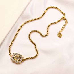 Ne se décolore jamais, plaqué or 14 carats, marque de luxe, pendentifs de styliste, colliers en acier inoxydable, lettre ras du cou, pendentif, chaîne tête de tigre, accessoire de mariage de noël