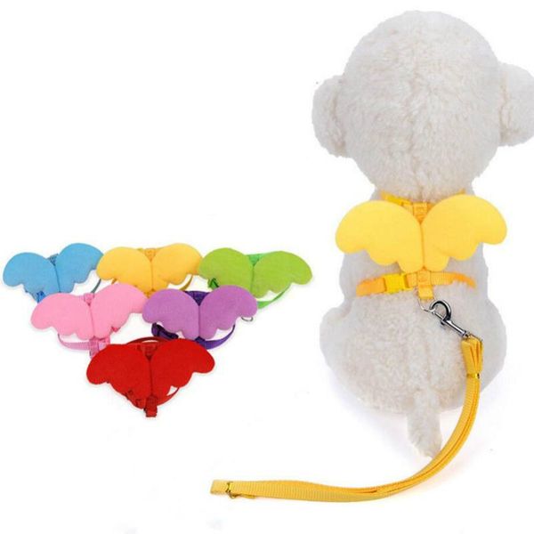 Cute Angel Pet Dog Leashes and Collars Set Puppy Leads para gatos pequeños Designer Arnés ajustable para perros Accesorios para mascotas