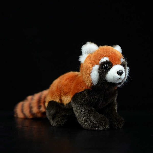 Nuevo 1pc 23cm Toy de juguete realista Red Panda Bear Cat Laving Toys Soft Toys Plush Lesser Panda Muñeca para Regalos para niños T230810