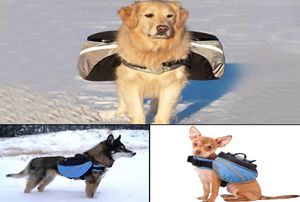 NUEVA 2018 Pet Great Dog Bag Carrier Backpack Bolsas de silla de silla de transporte de perros Carriers de bolsas de gran capacidad para perros 4628015