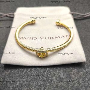 NOUVEAU 2022 David Yurma Bracelet Designer Bracelet Dy Bracelet Bijoux Rétro Rétro Classic Top Quality Bijoux Bijoux Men Femme Bracelet Bijoux Festival Gift 265