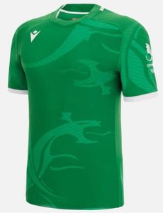 Nouveau 2023 Wales Rugby Jersey Maillots de l'équipe nationale Cymru Sever Version Coupe du Monde Polo T-shirt 22 23 Top Welsh Rugby Training Jesery Taille s