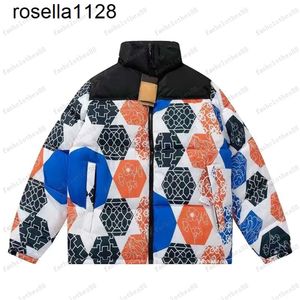 Nouveau 2023ss Femmes Hommes Mode Doudoune North Winter The Nort Puffer Vestes Parkas avec lettre brodée en plein air Mens Womens Streetwear Down Jacket