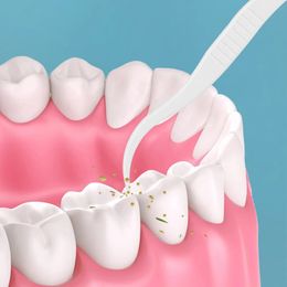 Nuevo 2024 100 piezas de hilo dental para el hilo dental limpia entre los dientes hilo dental palillos de viaje de viaje portátil con cremallera de dientes desechable, aquí hay 3
