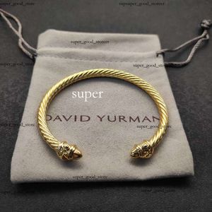 Nieuwe 2024 Dy Desginer David Yurma Sieraden Top Kwaliteit Bracelet Simple en Elegant Popular Woven Twived Rope Fashion Ring David Bracelet Punk Jewelry David Size 2 638