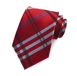 NOUVEAU 2024 hommes Necktie Design Mens Ties Fashion Neck Tie Stripes Modèle Luxurys Designers Business Cravate Neckwear Mariage Cravate