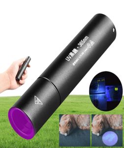 NIEUW 365nm UV-zaklamp Zwart licht USB Oplaadbare handzaklamp Draagbaar voor detector voor hond Urine Huisdier Vlekken Bed Bug7915177