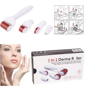 Kit de rouleau Derma en titane 5 en 1, masseur de thérapie par micro-aiguilles, soins de raffermissement de la peau, rajeunissement, Anti-rides, taches de vieillissement, Portable, usage domestique