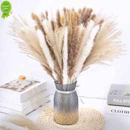 NIEUW 75 PACK Gedroogde riet Natuurlijke planten Kleine Pampas Reeds Bouquet Gedroogde bloemen voor bruiloft Decor en huis in huis woonkamer arrangement