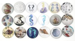 NIEUWE Collectie 18mm Cabochon Glas Steen Knop Ocean Seashell Conch Seahorse Snaps voor 18mm Snap Sieraden Armband ketting Ring Oorbel