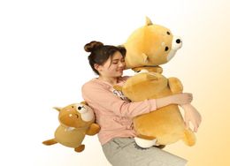 Nieuwe aankomst 3575cm Leuke Corgi Shiba Inu Dog Plush Toys Kawaii Liggen Husky Pillow Gevulde zachte dieren poppen Baby cadeau306047676