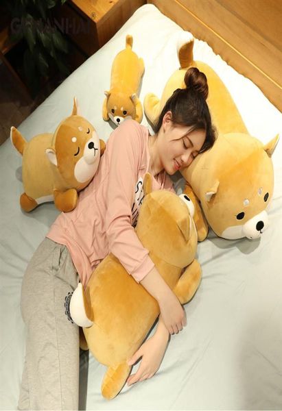 Nueva llegada 3575 CM lindo Corgi Shiba Inu perro juguetes de peluche kawaii mentira Husky almohada relleno suave Animal muñecas niños bebé regalo 262006445