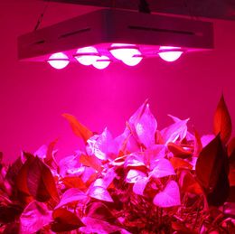 Nieuwe Collectie 900W Volledige Spectrum COB LED-installatie Grow Light Hydroponic Greenhouse Indoor Plants Zaaiing Bloemenlamp