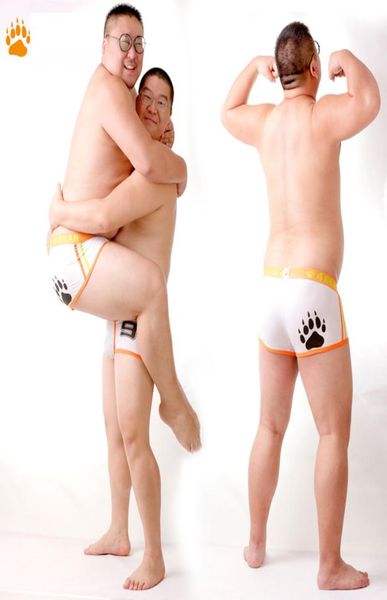 Nouveauté Bear Claw Men039s boxeurs grande taille sous-vêtements patte d'ours Shorts Sexy conçus pour Gay Bear M L XL XXL4153707