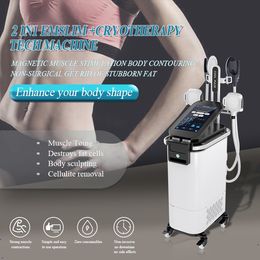 Nueva llegada Crioterapia EMSlim 2 en 1 máquina para adelgazar Esculpir fresco HI-EMT CRYO EMS Esculpir músculos Formar el cuerpo Estimulador muscular Criolipólisis Congelación de grasa