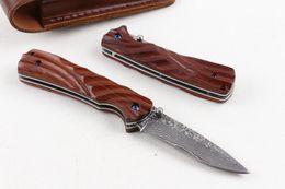 Nieuwe aankomst Damascus Folding Mes VG10 DAMASCUS Steel Blade Natural Proosewood Handvat EDC Pocket Messen met LEAHTER SHEED PAKKET