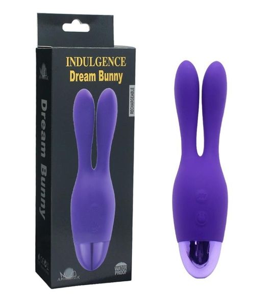 Nouvelle arrivée Double moteurs vibrateur éclatement orgasme mamelon taquine G Spot Clitoris Stimulation lapin vibrateur Sex Toys pour femmes S10181056328