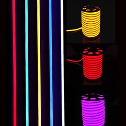 Nouveauté LED Enseigne Au Néon Flex Corde Lumineuse PVCflexible Bandes Intérieur Extérieur Flex Tube Disco Bar Pub Fête De Noël Décoration265N