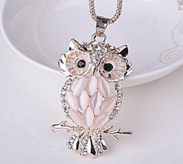 Nieuwe aankomst Lange trui ketting Charmante begrensde vrouwen Lady Girl Owl Pendant ketting kleding sieraden accessoires16951334098819