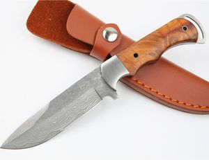 Nieuwe Collectie Outdoor Survival Rechte jachtmes Damascus stalen drop Point Blade Volledige Tang Shadow Houten Handvat Vaste Messen Messen met Lederen Schede