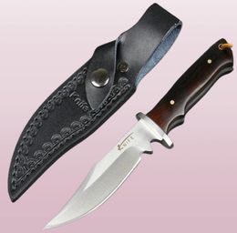 Nieuwe aankomst Kleine overleving Straight Hunting Knife 440c Satin Bowie Blade Volledige Tang Ebony Handgreep Vaste mesmessen met leer SH2078995