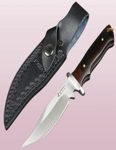 Nieuwe aankomst Kleine overleving Straight Hunting Knife 440c Satin Bowie Blade Volledige Tang Ebony Handgreep Vaste mesmessen met leer SH8384837