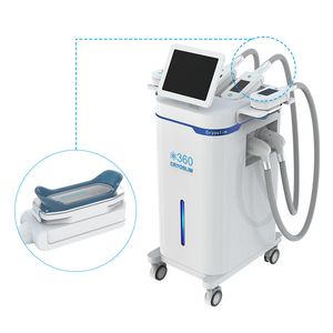 Nouveautés refroidissement cryolipolyse visage cryo machine corps minceur équipement de beauté