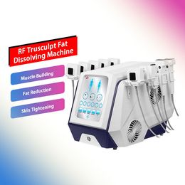 Nouveautés Dissolvant de graisse 3D Tru Sculpt Lifting monopolaire Rf Machine de serrage de la peau Machine monopolaire Rf Fat Dissolving Machine