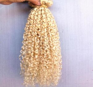 nieuwe aankomst braziliaanse menselijke maagd remy clip ins hair extensions krullend haar inslag blonde kleur 9 stuks met 18clips347u3382367