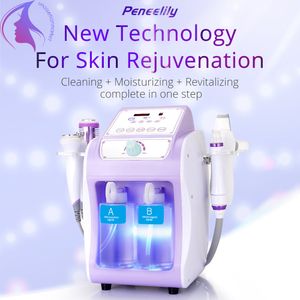 Nouveau arrivé 6 en 1 Peneelily Hydro Ultrasonic Black Head Water Peeling Facial Rajeunissement de la peau Machine de beauté