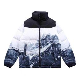 Piumino moda uomo e donna nuovo arrivato Nord Inverno The Nort Puffer Jackets Parka con lettera ricamo viso esterno Streetwear vestiti caldi Pqr5