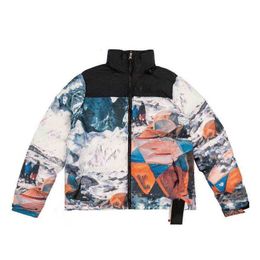 Nouveau arrivé femmes et hommes mode doudoune nord hiver les vestes bouffantes Nort Parkas avec lettre broderie extérieur visage streetwear vêtements chauds L2po