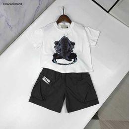 NOUVEAUXESTES BÉBÉSESTES SUMBRES SUMBRES BOISSEUX ENSEMBLE CHIPES KIDS DRIPS TAILLE 90-150 cm T-shirt à imprimé éléphant et shorts 24aPril