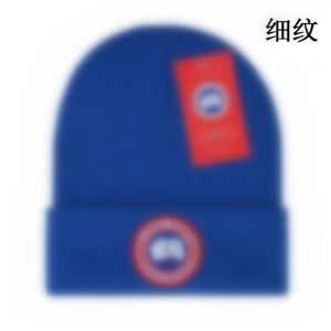 Nouveau Canada hiver tricoté chapeau de luxe bonnet printemps automne unisexe brodé logo laine d'oie hommes femmes chapeaux S-14