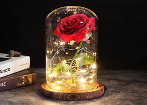 Nouvelle venue 9 Couleur Brown Brown With Rose on a Glass Dome Valentine039s Day Gift Forever Rose Mother Day Gift7033046