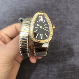 Nieuwe creatieve persoonlijkheid Snake horloges dameswatch vrouw merk luxe stijlvolle kwarts dames bracelet diamant polswatch montre femme femme relogios orologio di lusso