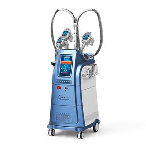 Staande cryolipolyse vet bevries lichaam afslank machine gewichtsverlies cavitatie diode lipo slanke machines thuis salon gebruik