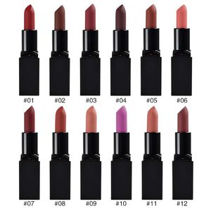 Nieuwe Custom Matte Lipstick 12 kleuren naakt pigment langdurige make-up waterdichte vochtige cosmetica wreedheid veganist privé label