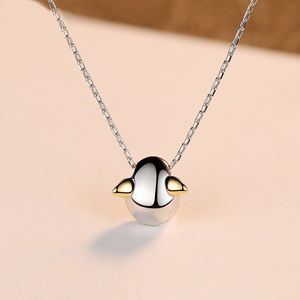 Nieuwe schattige Penguin S925 Silver Pendant ketting Fashionable Sexy Women Collarbone Chain Charmante ketting High-end sieraden Accessoires Geschenk