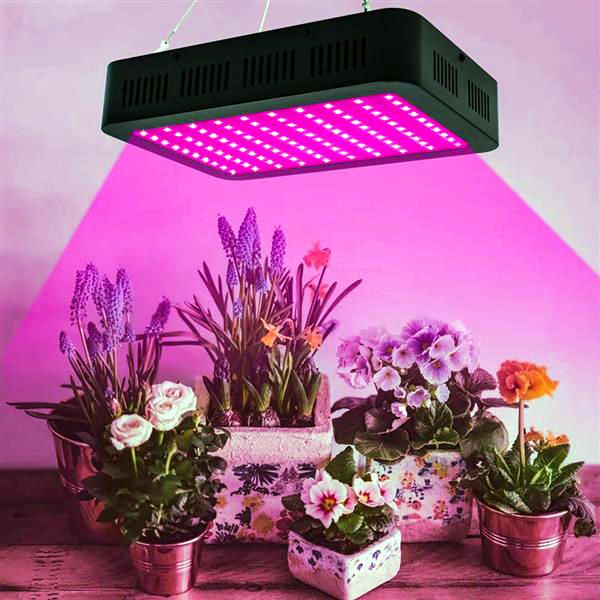 Nouveau Design 1000W 100*10W spectre complet 3030 lampe perle plante lampe contrôle unique noir matériau de qualité supérieure élèvent des lumières