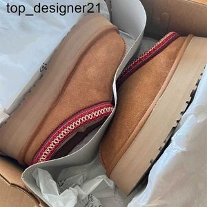 Nouveau Designer Australian Boots Femmes Luxe Tazz Pantoufles Femmes Mini Tasman Australie Boot Femmes Chaussures Plate-forme Sneaker Bottines En Daim Bottes Chaudes